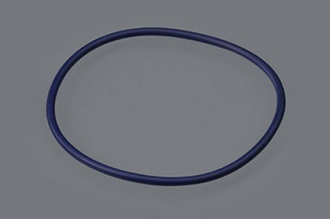 O-Ring - Sample Cone; 4500/7500 - (1 each)
